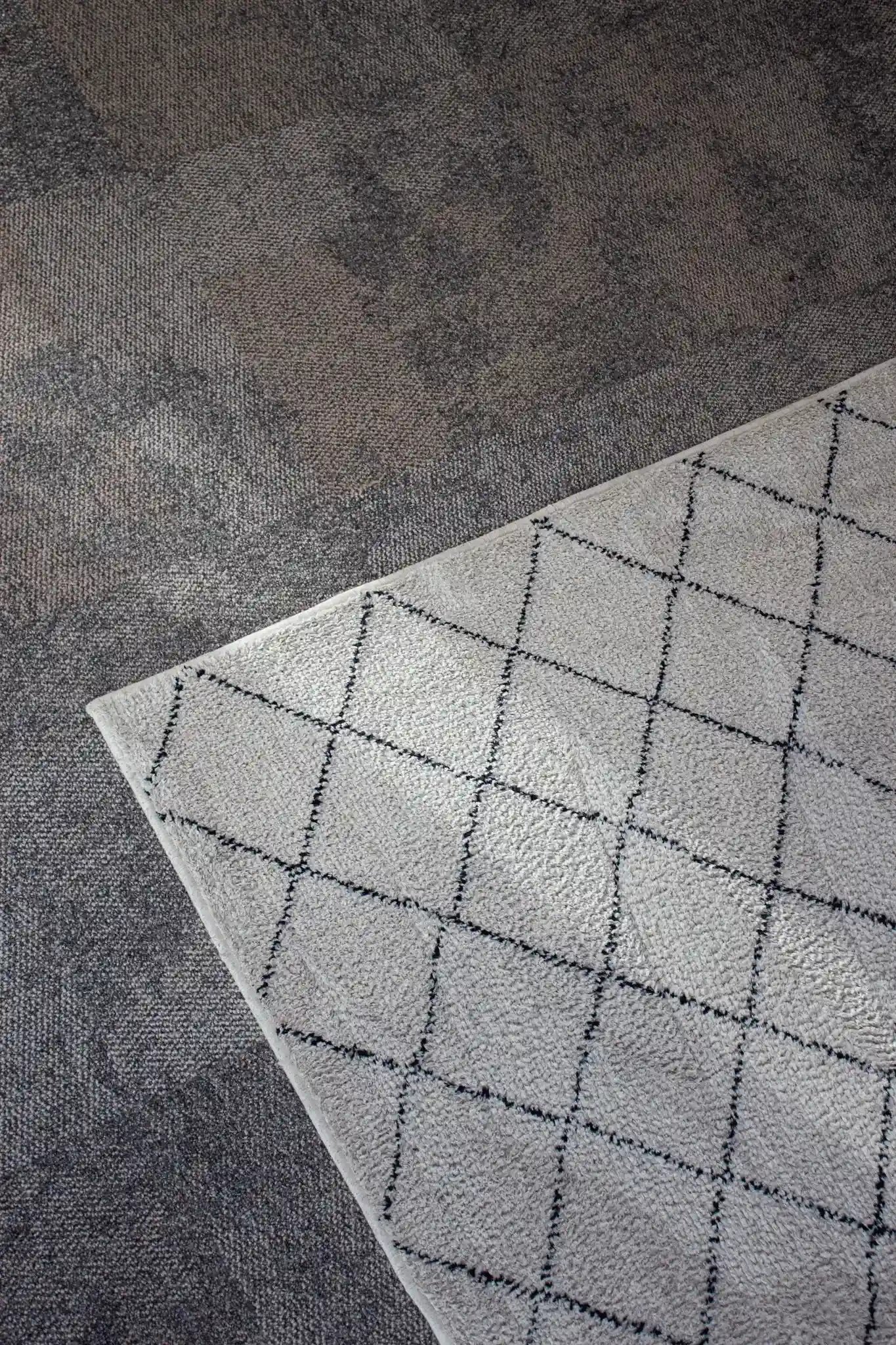 Composil - Service - Nettoyage Tapis 