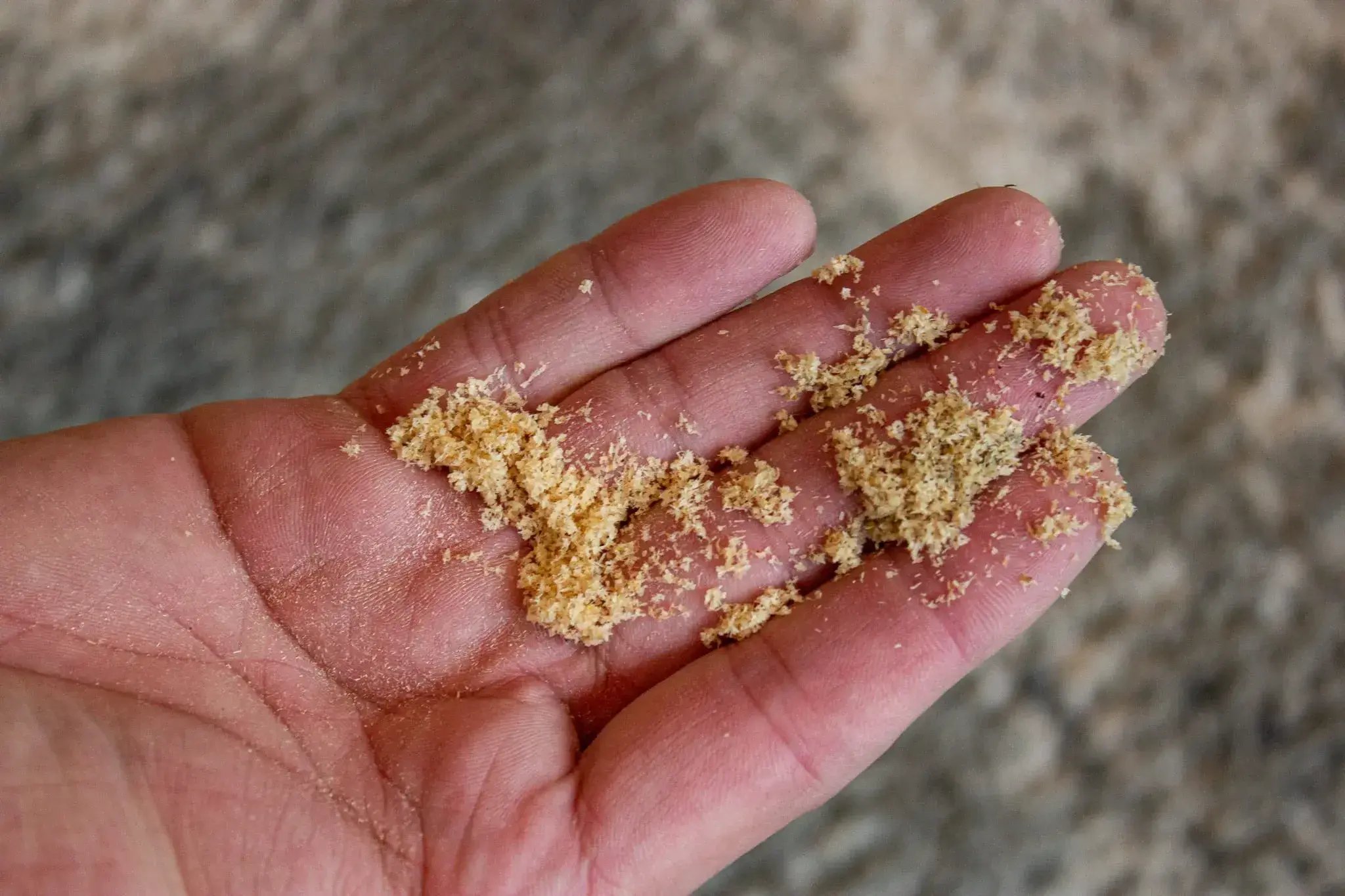 tapis particulier 11