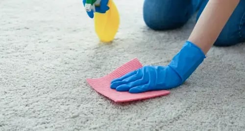 homemade  cleaning carpet 