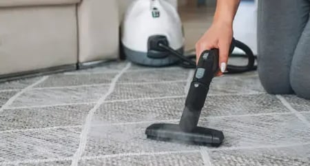 steam cleaner for carpet 