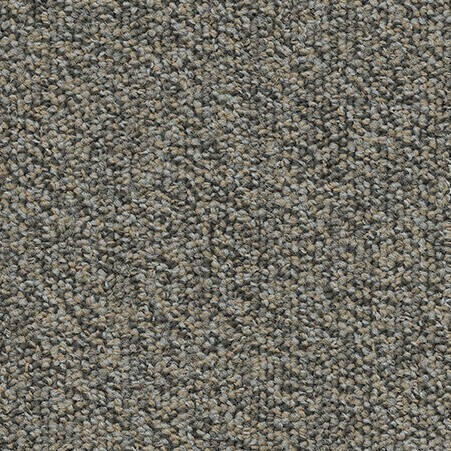 Millennium Nxtgen 817