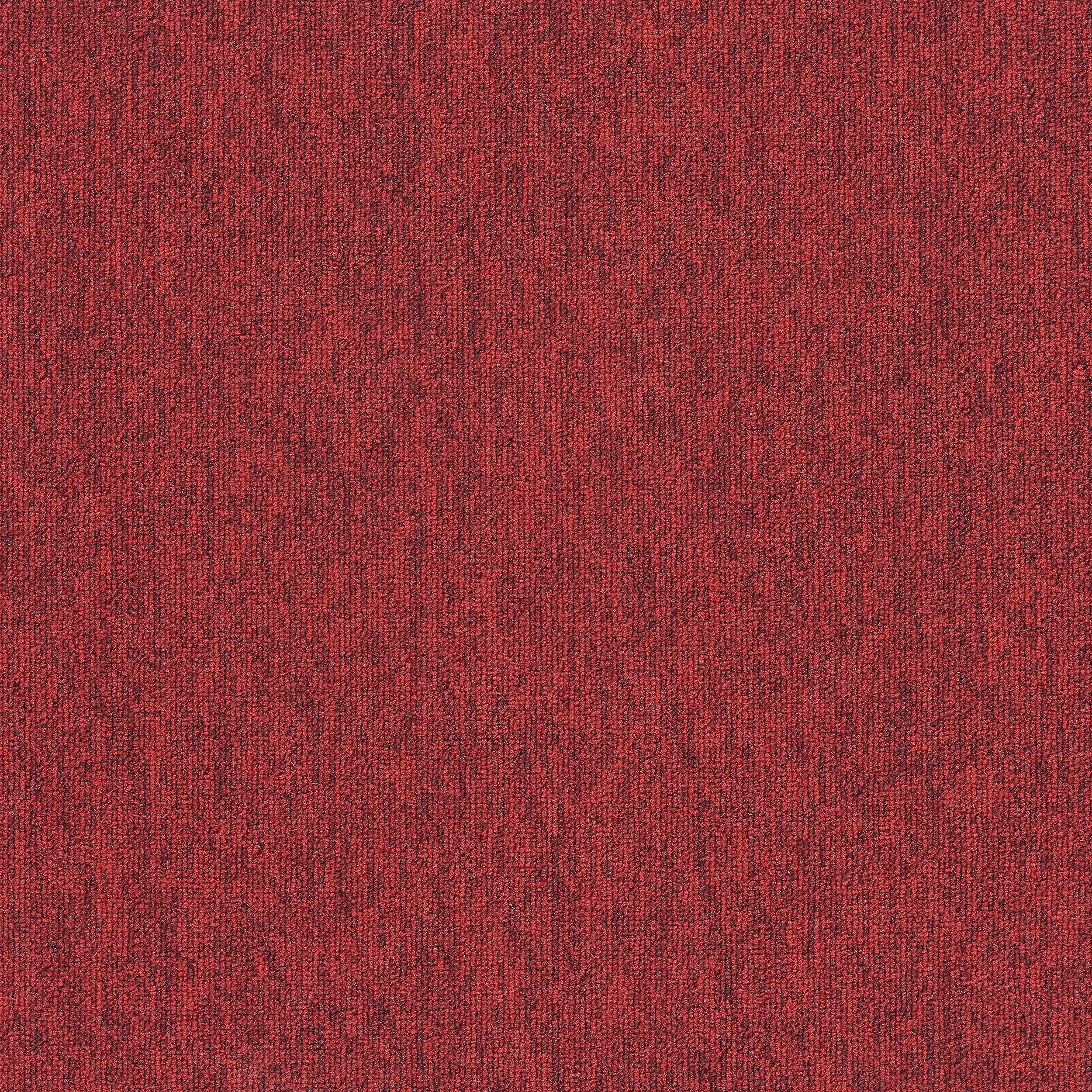 Employ Loop - 4197024 Salsa