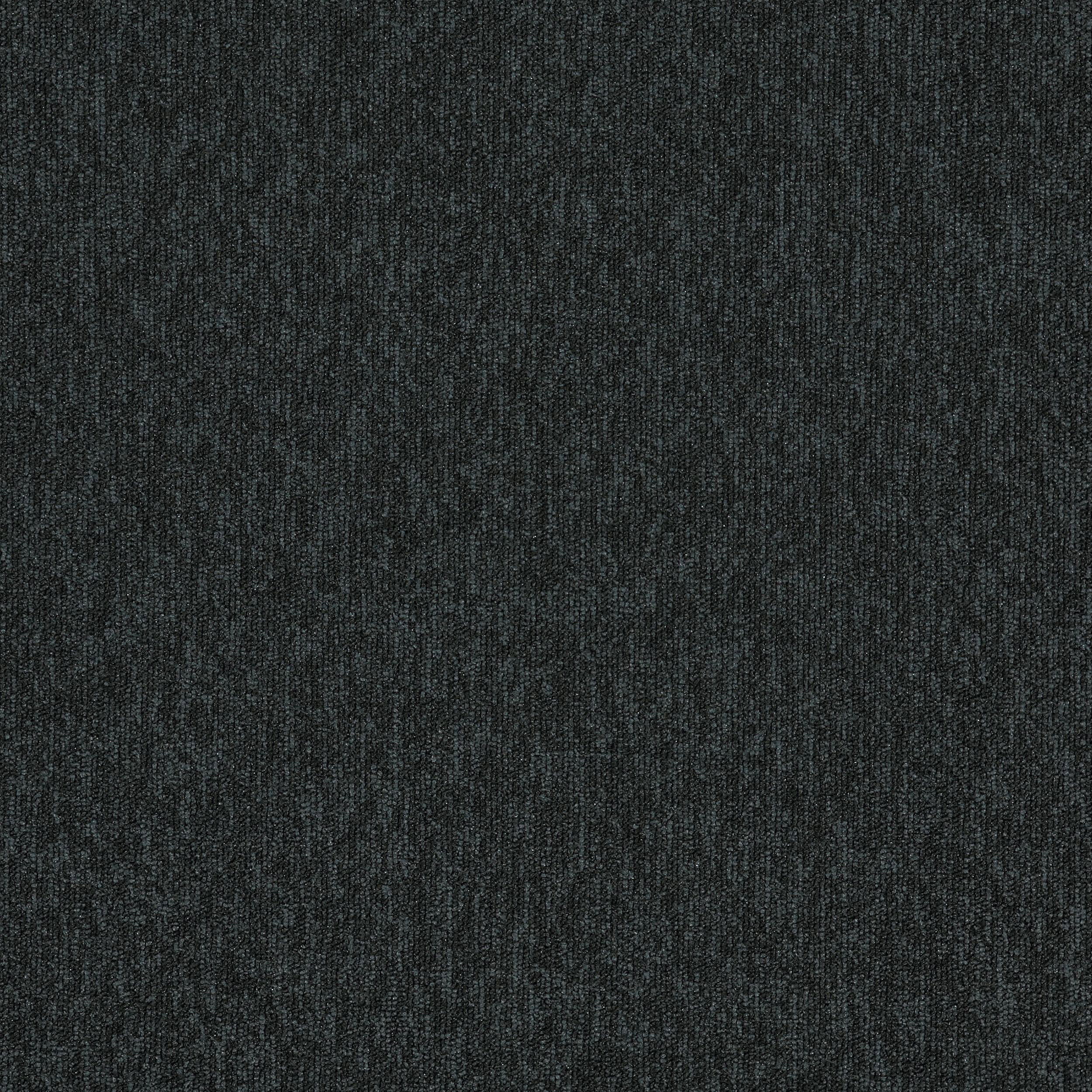 New Horizons II - 4117010 Carbon