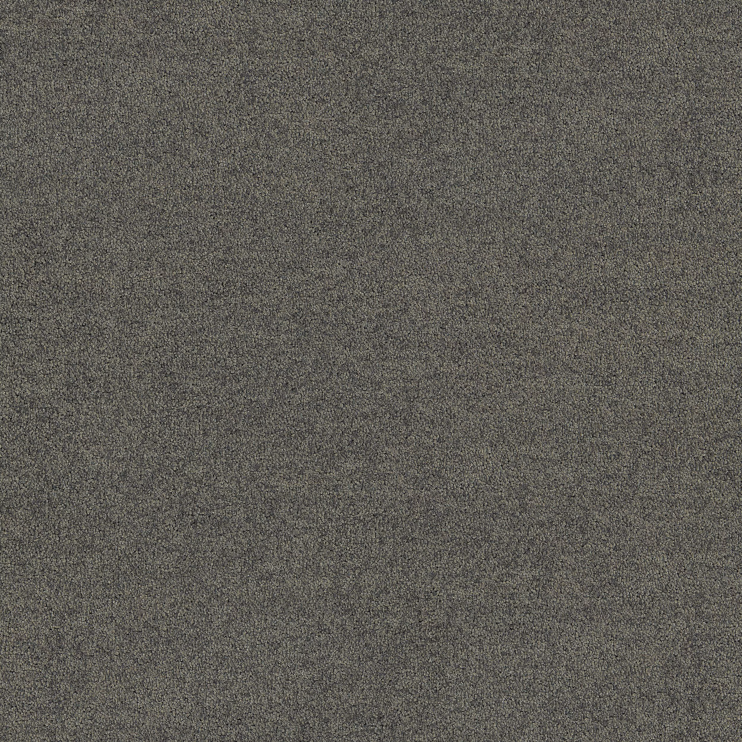 Polichrome Solid - 4266008 - Mole